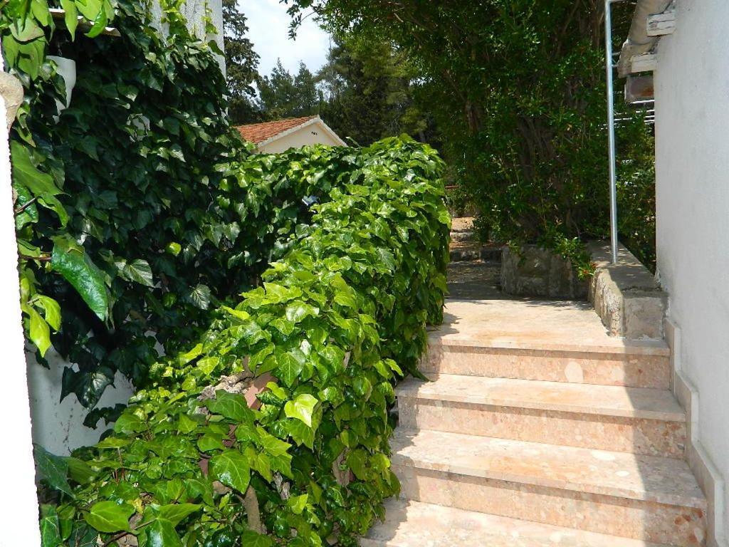 Apartments And Rooms Darinka Vrboska Exterior foto